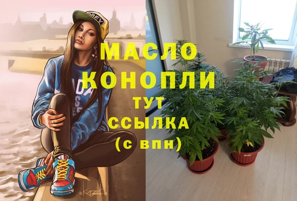 гашик Богородск