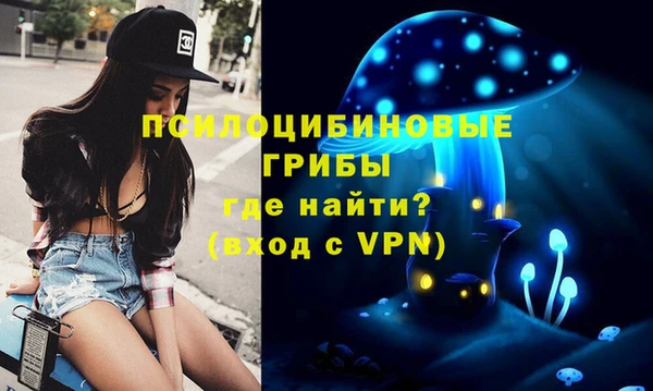 каннабис Богородицк