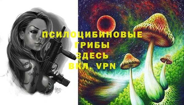 mix Надым
