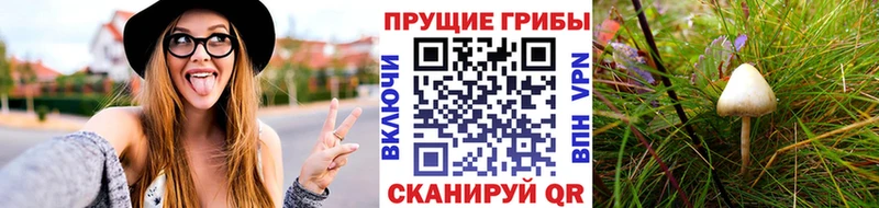 наркошоп  Когалым  Галлюциногенные грибы Cubensis 